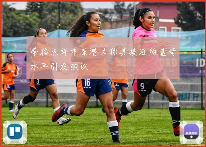 蒂格点评申京潜力称其接近约基奇水平引发热议