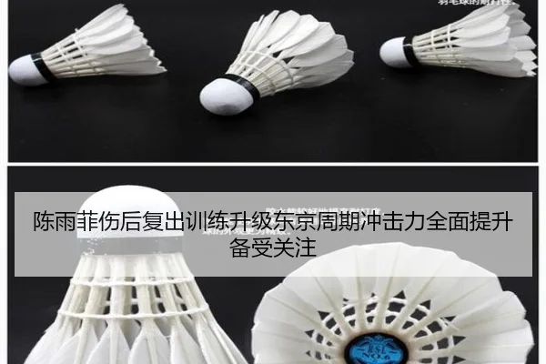 陈雨菲伤后复出训练升级东京周期冲击力全面提升备受关注 | super